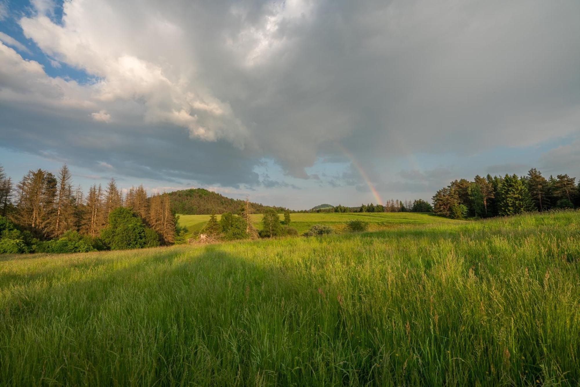 Edmundova Chata Jetřichovice Esterno foto